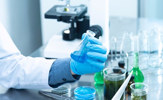 技術(shù)研發(fā)團隊